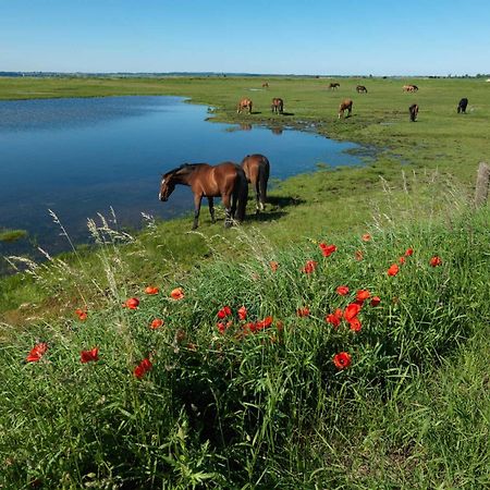Ostsee Residenz Meeresblick Bellevue Insel Poel Esterno foto