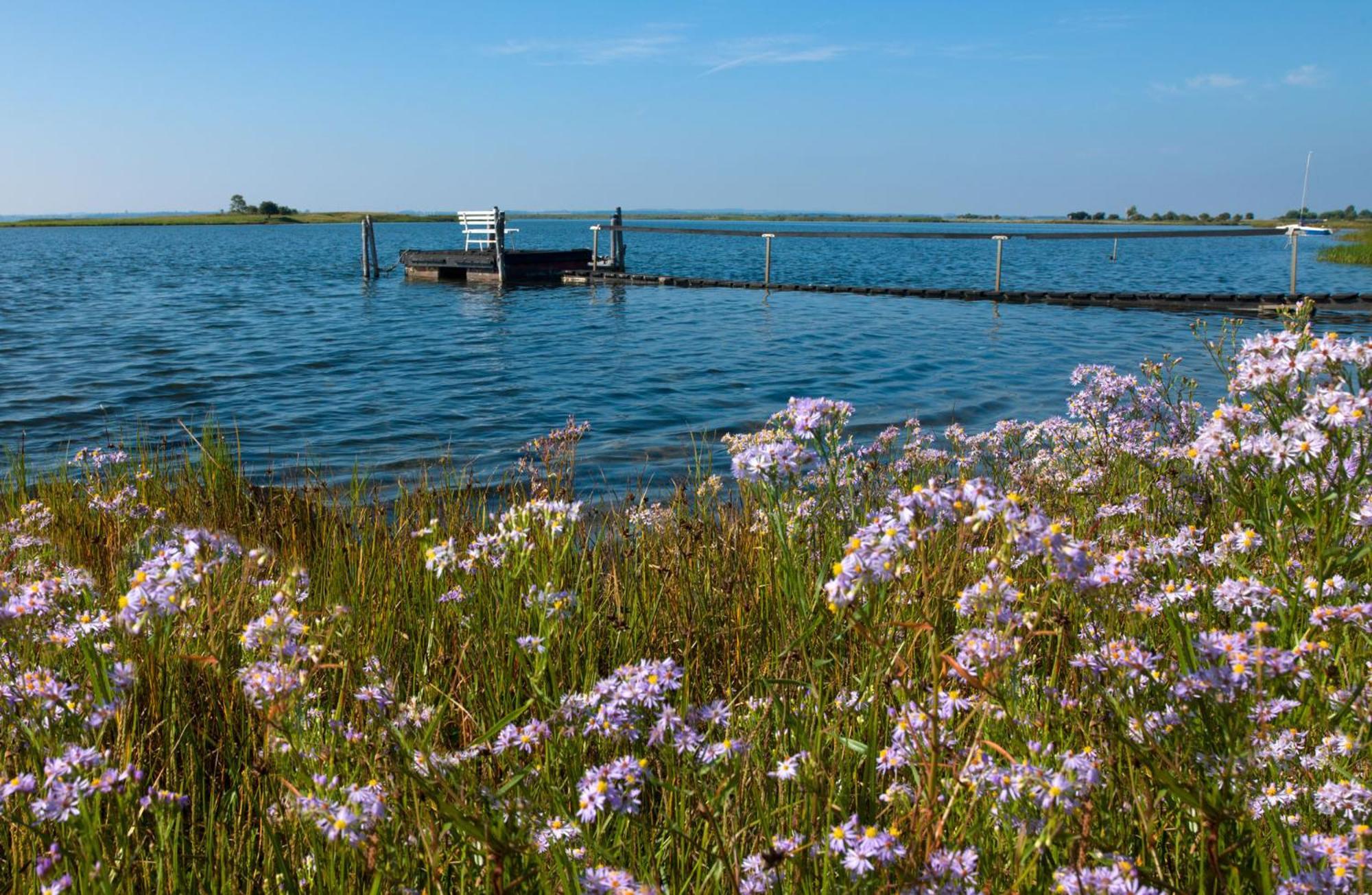 Ostsee Residenz Meeresblick Bellevue Insel Poel Esterno foto