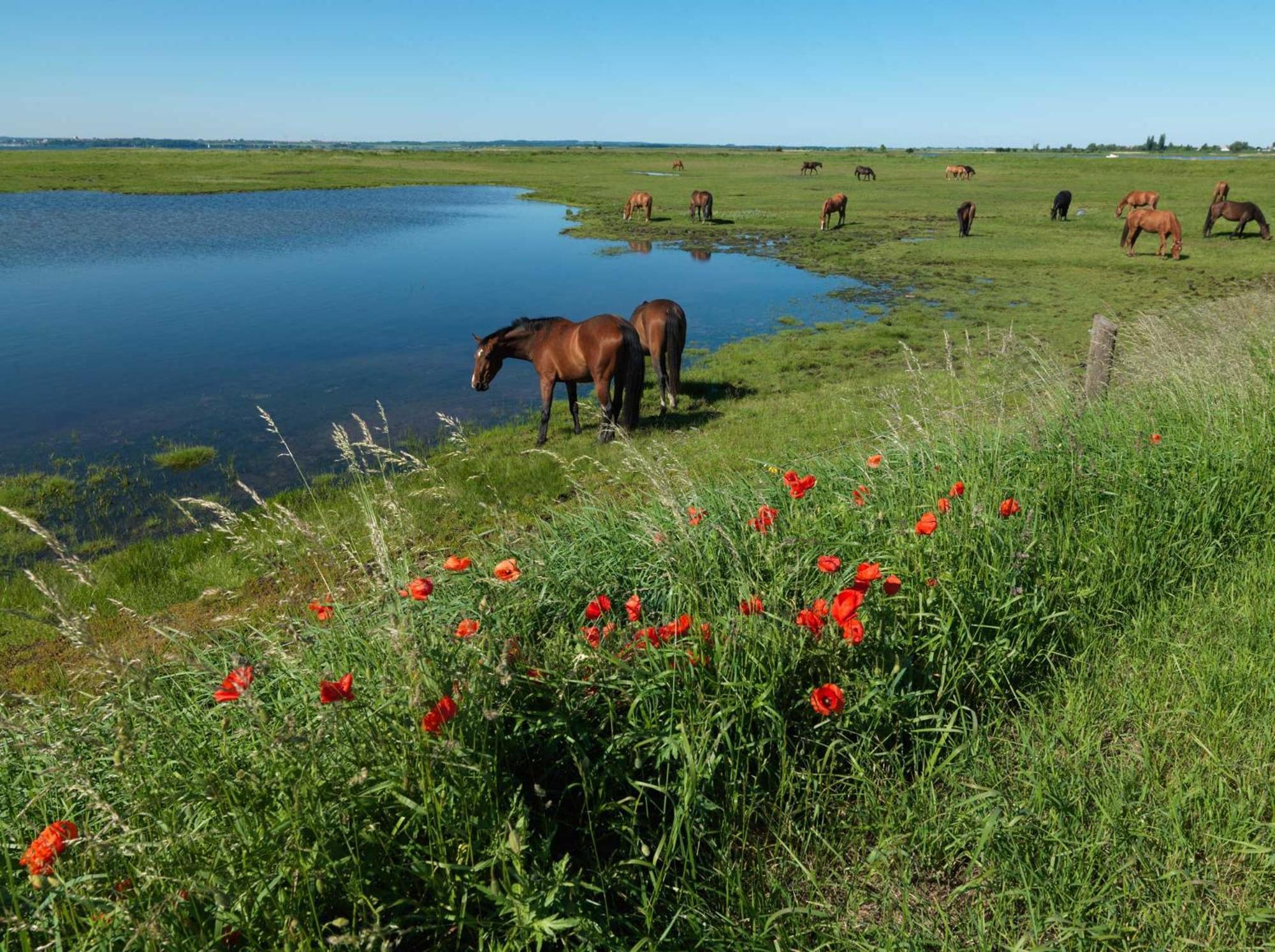 Ostsee Residenz Meeresblick Bellevue Insel Poel Esterno foto